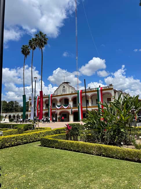 Oaxaca: Guided Bike Tour to the Largest Tree in the World - Who should book this ride?