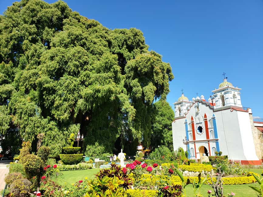 Oaxaca: Guided Bike Tour to the Largest Tree in the World - Practical tips for a smoother ride