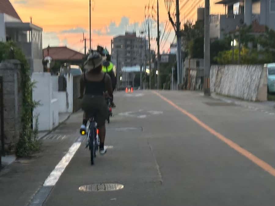 Okinawa: Afternoon Cycling Tour with Local Guide - What the $87 price gets you