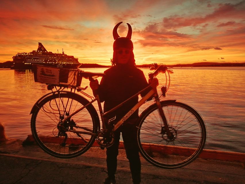 Oslo: Winter Highlights 3-Hour Bike Tour - Karl Johans Gate and the Christmas market
