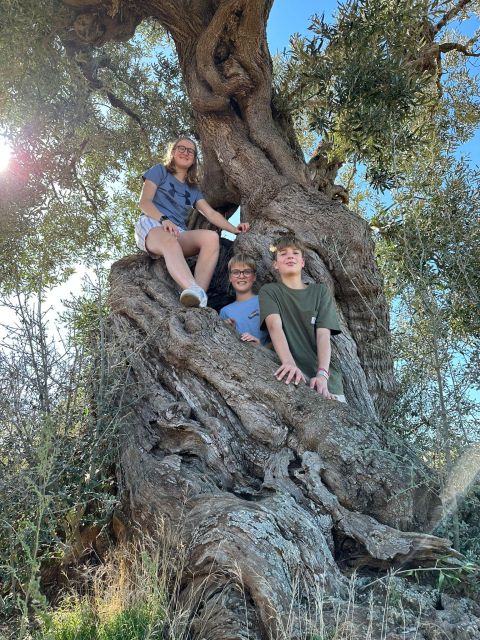 Ostuni: E-bike Tour, Ancient Olive Trees & Oil Tasting - Why this Ostuni ride feels different