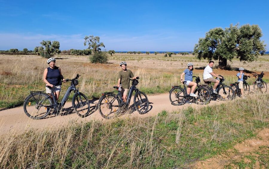 Ostuni: E-bike Tour, Ancient Olive Trees & Oil Tasting - Learning to taste extra virgin olive oil