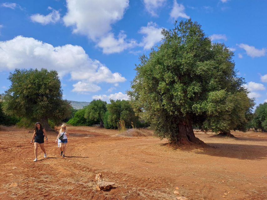 Ostuni: Guided e-bike tour + countryside tasting stop - E-bike costs and what the price really covers