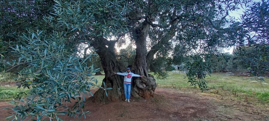 Ostuni: Guided e-bike tour + countryside tasting stop - Riding through Ostuni’s olive country
