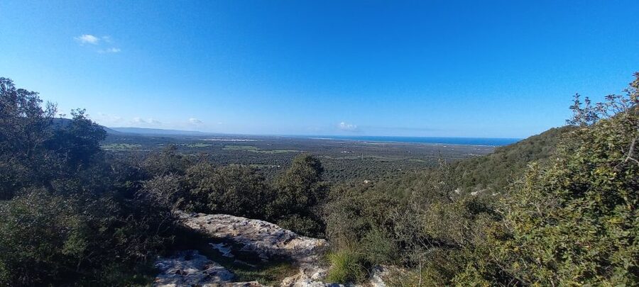 Ostuni: Guided e-bike tour + countryside tasting stop - Timing, pace, and physical effort