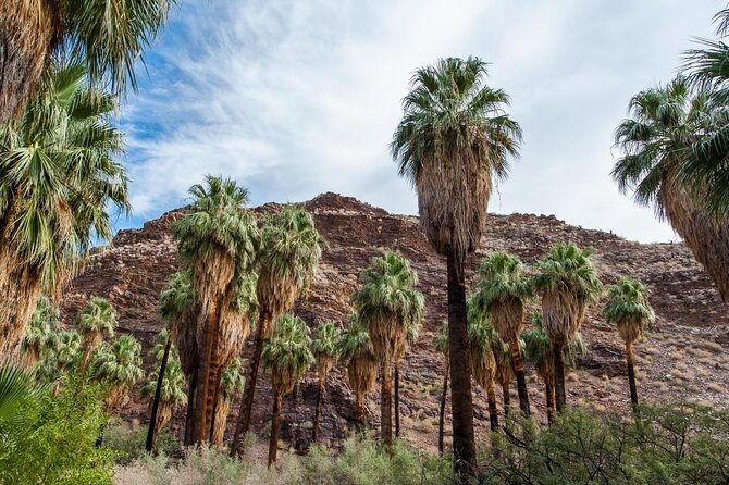 Palm Springs Indian Canyons Bike and Hike - At a Glance: What Makes This Tour Worth Considering