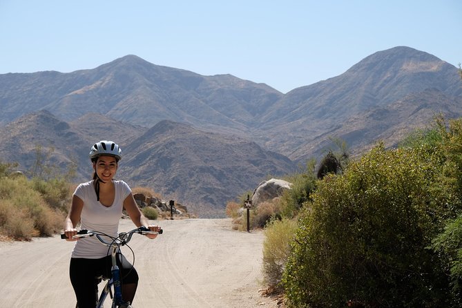 Palm Springs Indian Canyons Bike and Hike - From Palm Canyon Drive Into the Canyons