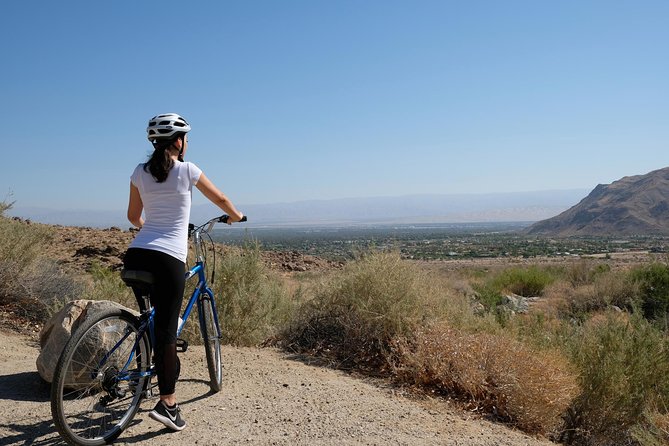Palm Springs Indian Canyons Bike and Hike - Why the E-Bike Upgrade Matters