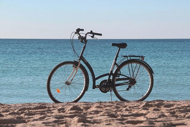Palma de Mallorca Easy Bike Tour (Small Groups) - The Guides Are a Major Part of the Value