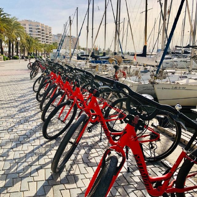 Palma de Mallorca: Guided Bicycle Tour with Tapas & a Drink - Entering Palma’s medieval lanes