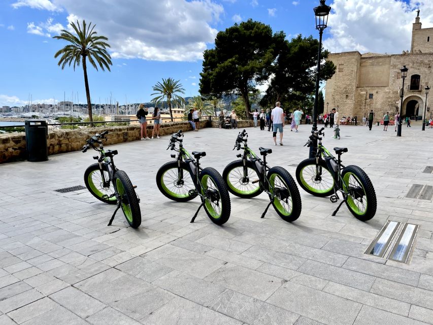 Palma: Guided City Tour with a Fat Tire E-Bike - Palma Cathedral, the Cathedral of Light