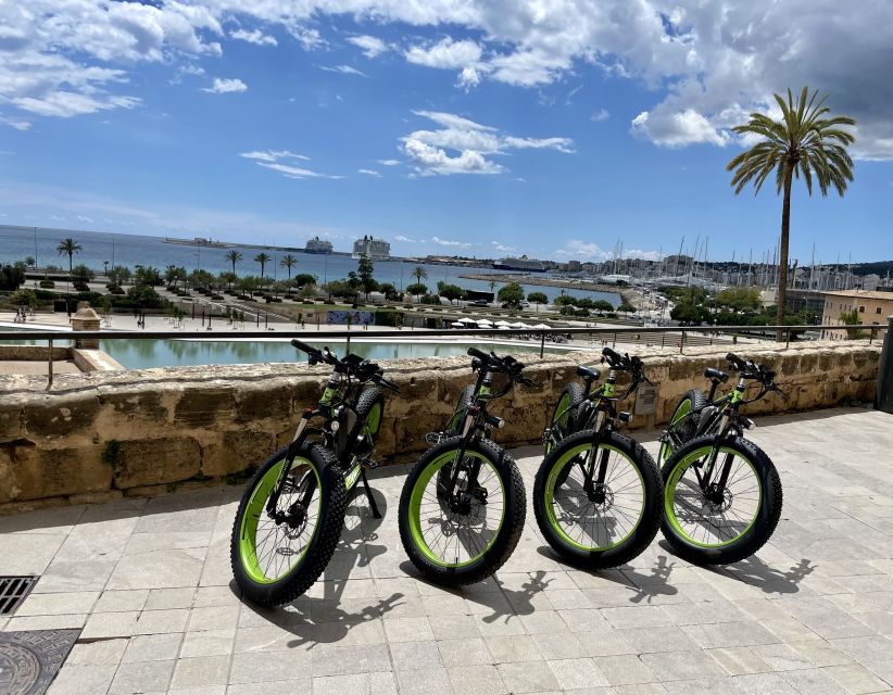 Palma: Guided City Tour with a Fat Tire E-Bike - Sea Air Along the Beach Promenade