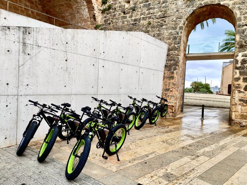 Palma: Guided City Tour with a Fat Tire E-Bike - What the Guides Add