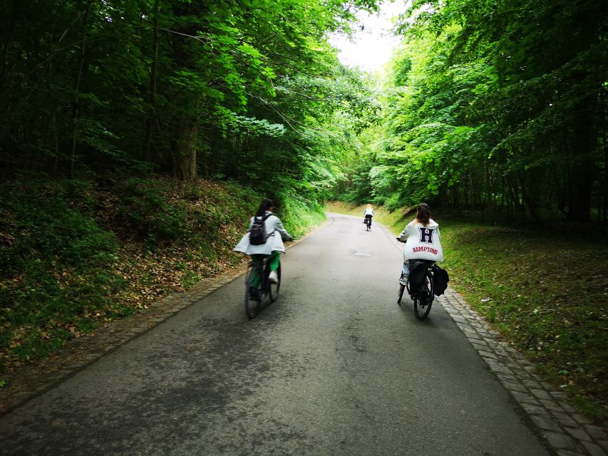 Paris: Versailles Palace and Queen Hamlet E-Bike Tour - Reaching Versailles by bike