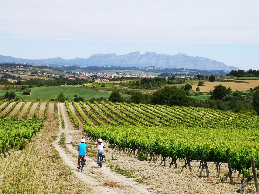 Penedès/BCN: Self-Guided eBike Tour with guided Winery Visit - Key points to know before booking