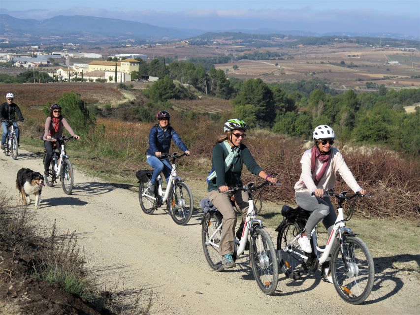 Penedès/BCN: Self-Guided eBike Tour with guided Winery Visit - The 45-minute ecological winery visit