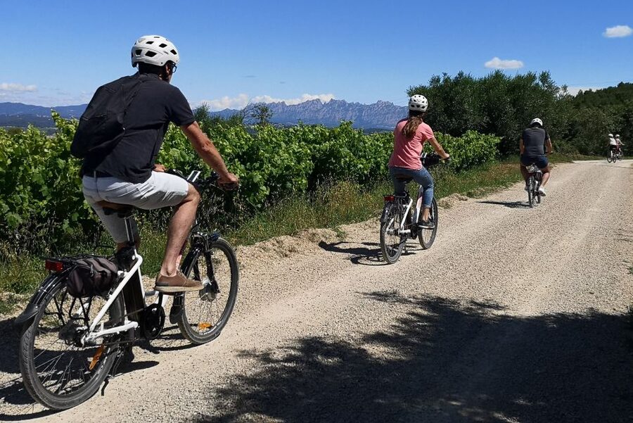 Penedès/BCN: Self-Guided eBike Tour with guided Winery Visit - Who should book this experience?