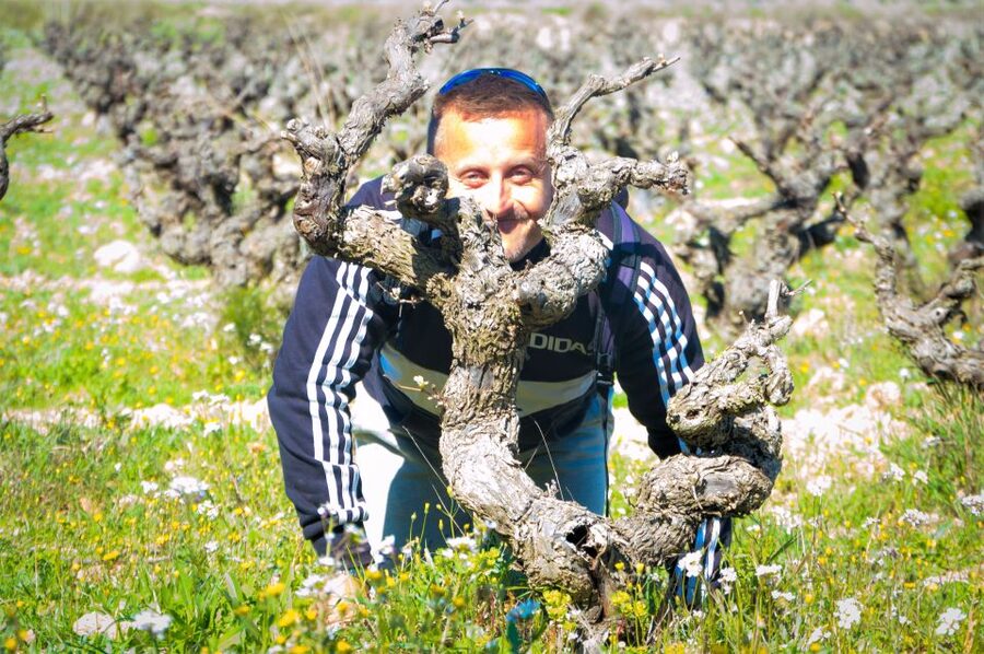 Penedès/BCN: Self-Guided eBike Tour with guided Winery Visit - Reaching Lavern-Subirats from Barcelona