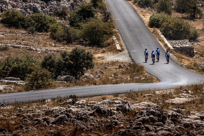Personalised Road Bike Tour in Malaga - Why this ride is different from a standard bike rental