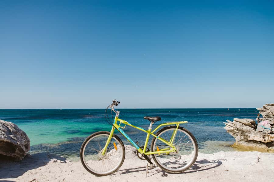 Perth: Rottnest Island Ferry, Bike, Coffee & Lobster Roll - Who will enjoy this Rottnest day?