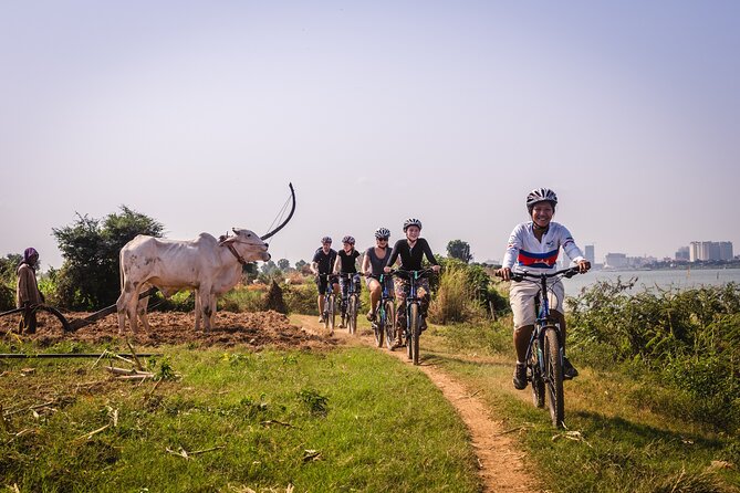 Phnom Penh: Cycling Adventure on Islands of the Mekong - Orchards, pagodas, and the quieter side of Cambodia
