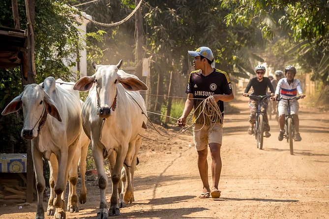 Phnom Penh: Cycling Adventure on Islands of the Mekong - The first ferry and the road out