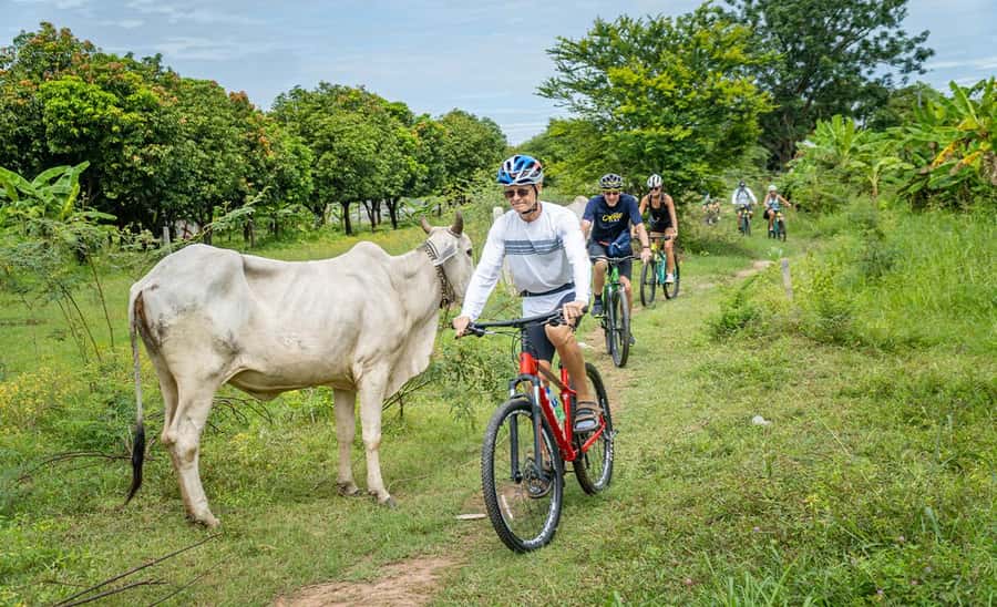 Phnom Penh: Mekong Islands Sunset Bike Tour include drinks - Timing, pace, and practical concerns