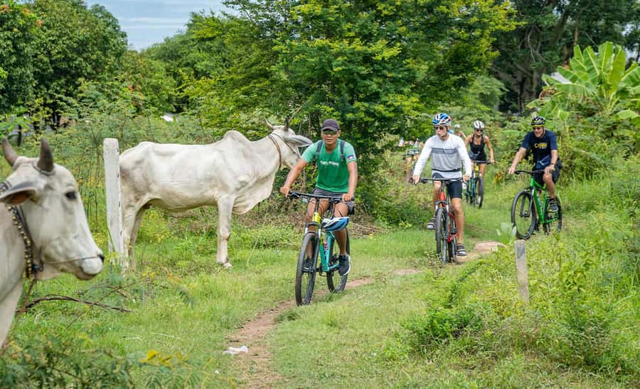 Phnom Penh: Silk Islands Half-Day Bike Tour - Silk Island and a tradition passed through families
