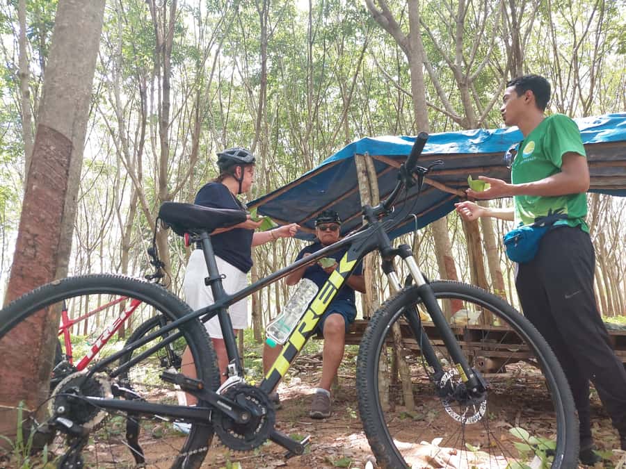 Phuket: Half-Day Countryside Cycling Tour with Lunch - Why northern Phuket is worth your morning