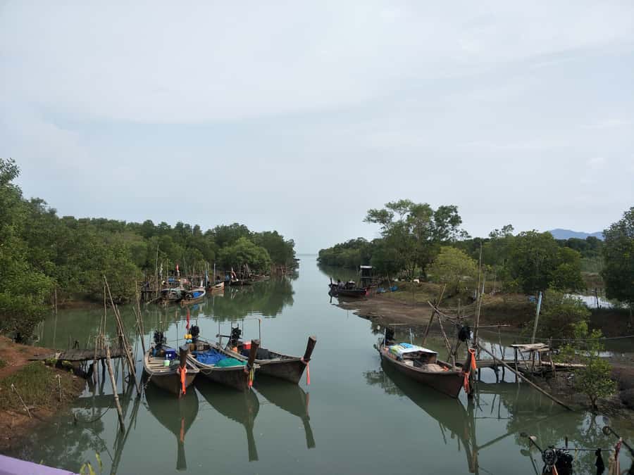 Phuket: Yao Island Cycling and Beach Day-Trip - Why Koh Yao Noi makes a good cycling base
