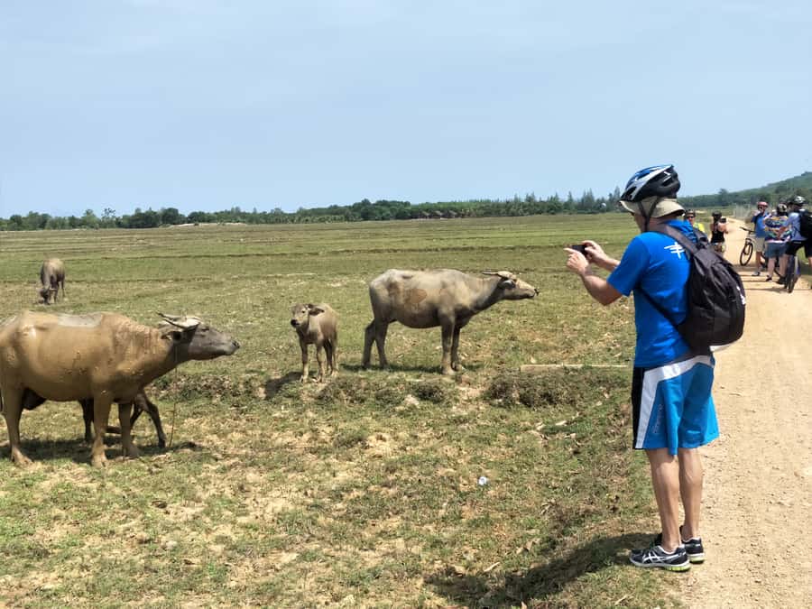 Phuket: Yao Island Cycling and Beach Day-Trip - The 10-kilometer afternoon ride along the east coast