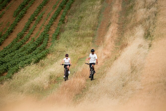 Pienza - Ebike tour for a full immersion in Val d'Orcia. - Riding to the Chapel of Vitaleta