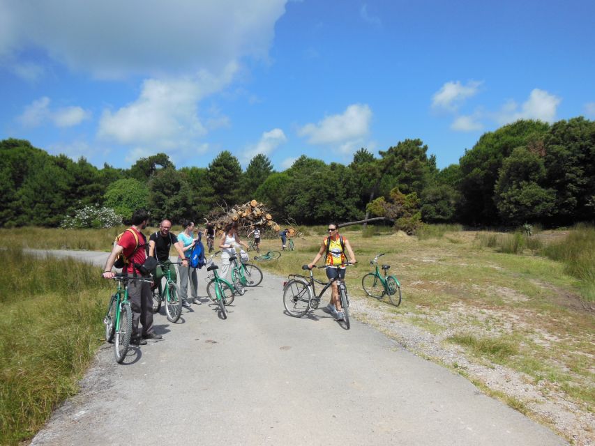 Pisa: Self-Guided Bike Tour to Lucca - The return trip and your backup plan