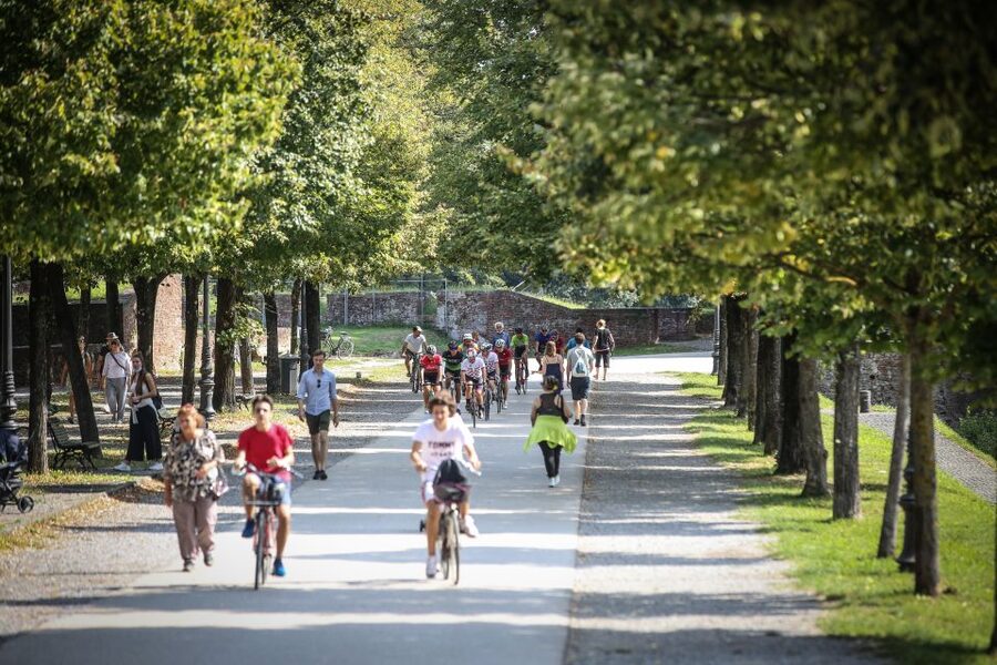 Pisa: Self-Guided Bike Tour to Lucca - How the $40 price measures up