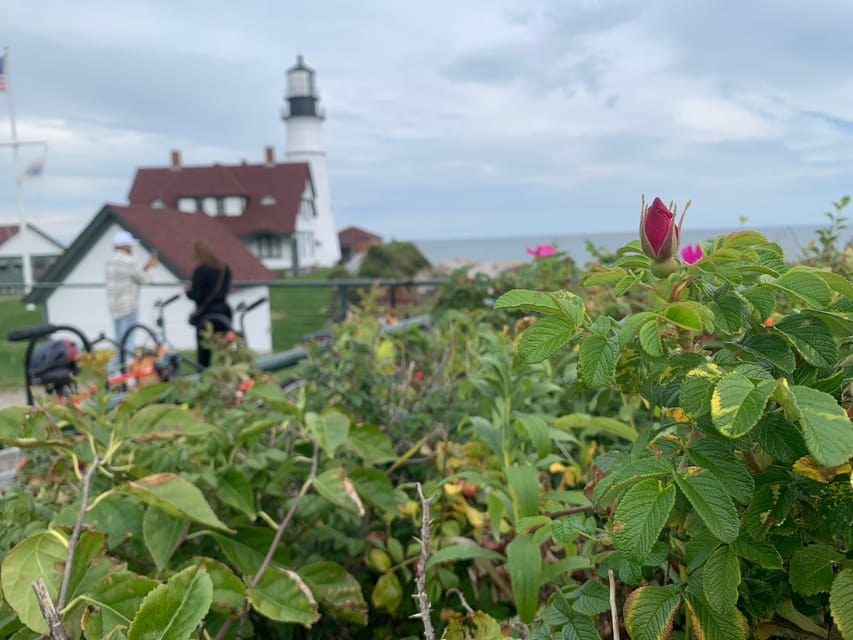 Portland, Maine: Coastal Lighthouses Guided Bicycle Tour - Bike comfort, hills, and weather