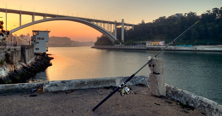 Porto: 3-Hour Bike Tour - Who should book this Porto ride?
