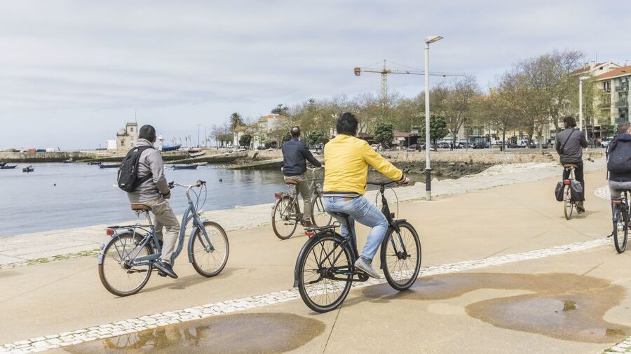 Porto: 3-Hour Bike Tour - What the guides add to the ride