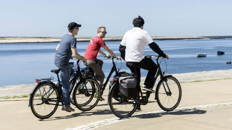 Porto Private E-Bike Tour: Douro River, Parks & Beaches - Starting under the large painted face