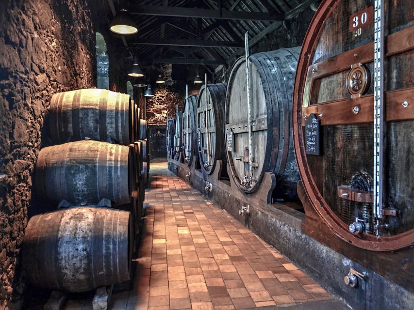 Porto: Self-Guided Bike and Boat Tour with Port Wine Tasting - Practical tips for getting the most from the day