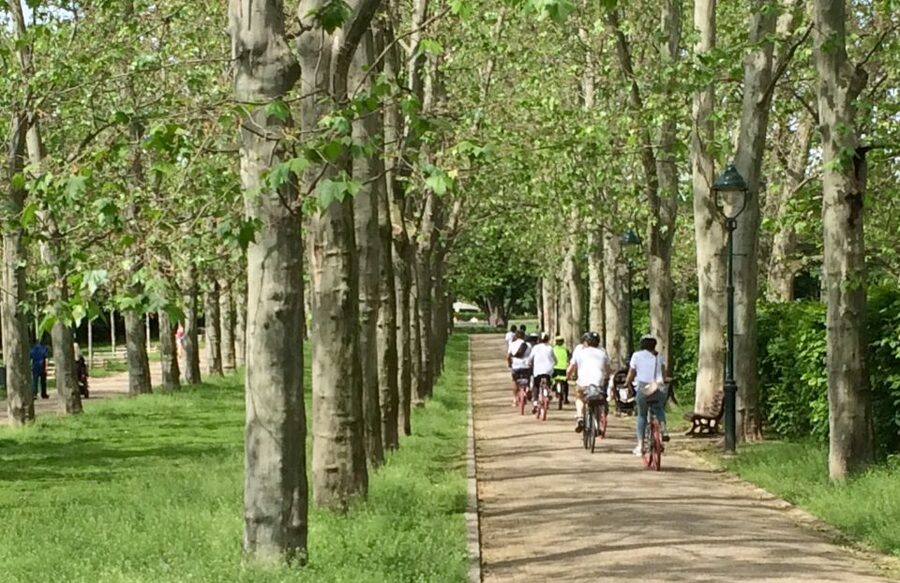 Prague: Stunning Viewpoints, Castle, City & Park E-Bike Tour - Letná Park and the Prague Metronome