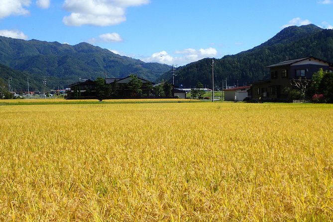 Private Afternoon Cycling Tour in Hida-Furukawa - From Town Streets to Satoyama Countryside