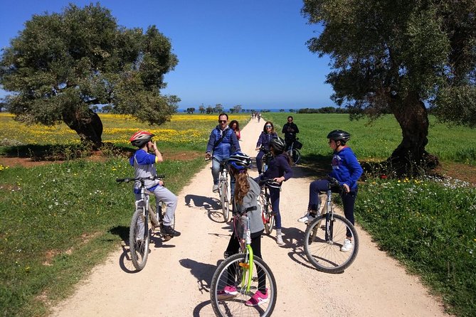 Private Bike Tour with Olive Oil Tasting - A short stop at Dolmen di Montalbano