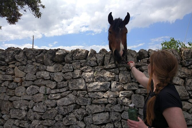 Private Bike Tour with Olive Oil Tasting - Is $138.18 good value?