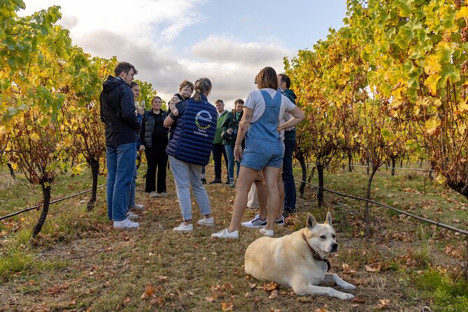 Private Biking Wine Tour (full day) in the Marlborough Region - A private tour changes the feel of the day