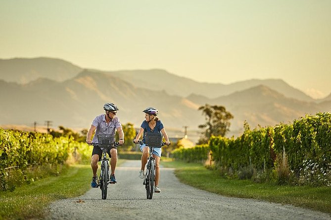 Private Biking Wine Tour (full day) in the Marlborough Region - Five wineries, with room for six