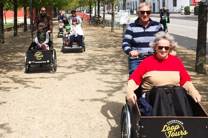Private Copenhagen Family Cargo Bike Tour – Winter Adventure - Amalienborg Square and the view to the Opera House