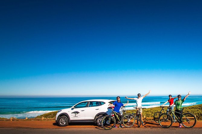 Private Cycling Tour of The Cape Peninsula from Cape Town - What kind of Cape Peninsula tour is this?