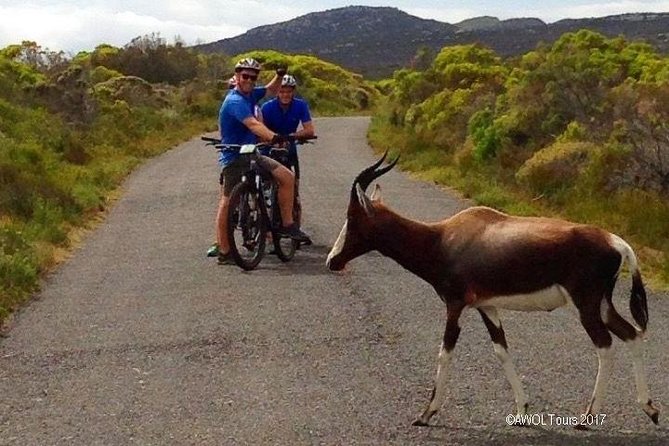 Private Cycling Tour of The Cape Peninsula from Cape Town - How the private format affects the experience