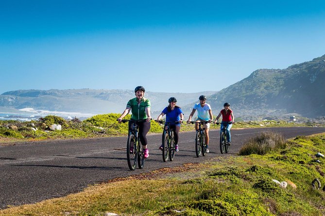 Private Cycling Tour of The Cape Peninsula from Cape Town - Starting at 8:00 a.m. with a private guide
