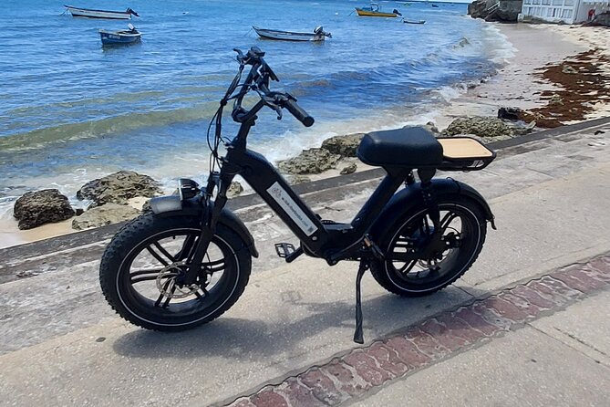 Private E-bike Adventure Tours of Barbados - Choosing museums without paying twice for the tour